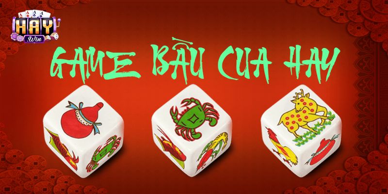 Nếu bạn là người mới, hãy ưu tiên cược theo hướng đơn giản