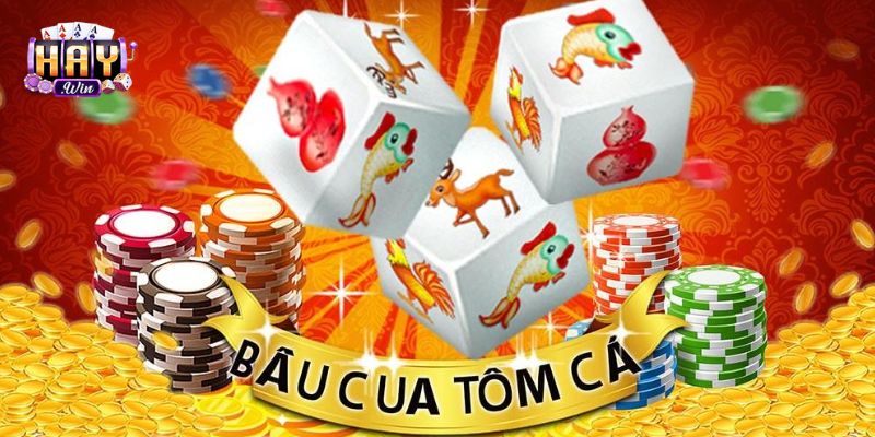 Biết khi nào nên dừng lại là cách chơi hay và an toàn nhất