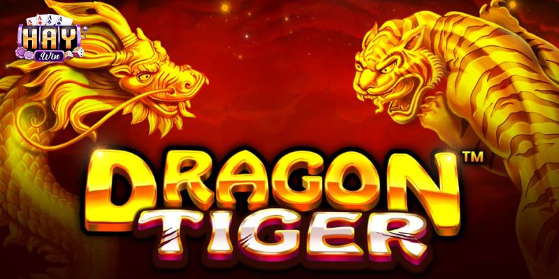 Tổng hợp các chiến thuật và cách chơi rồng hổ được chuyên gia đánh giá cao